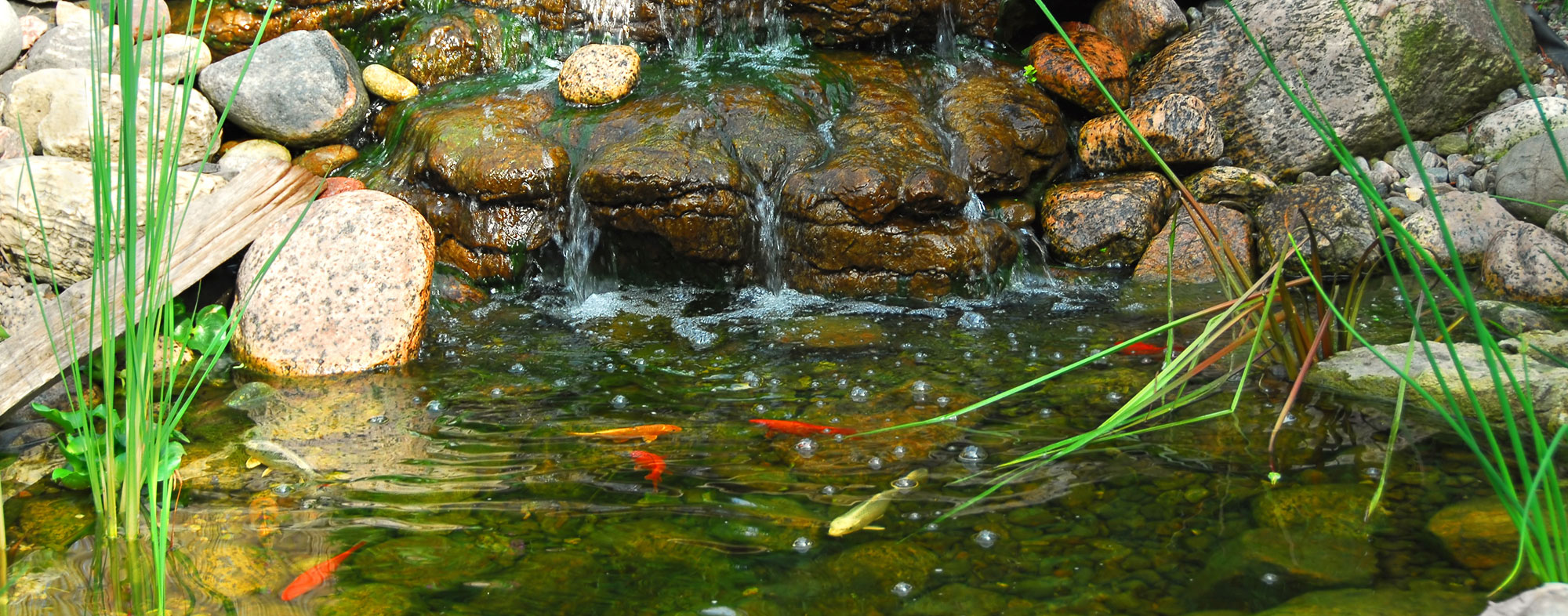 Comment maintenir l'eau claire d'un étang de jardin - Keeping Your PonD Clean 2000x786