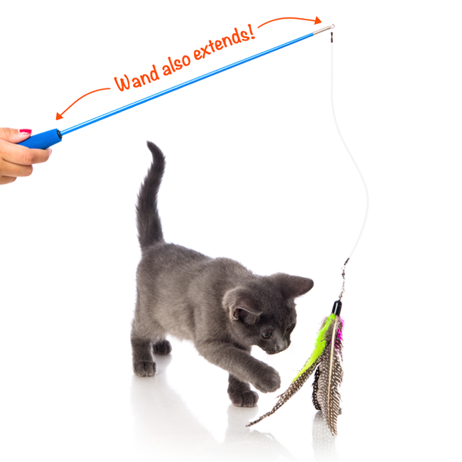 Interactive Cat Fishing Rod, Retractable Cat Toy Wand, Cat Training