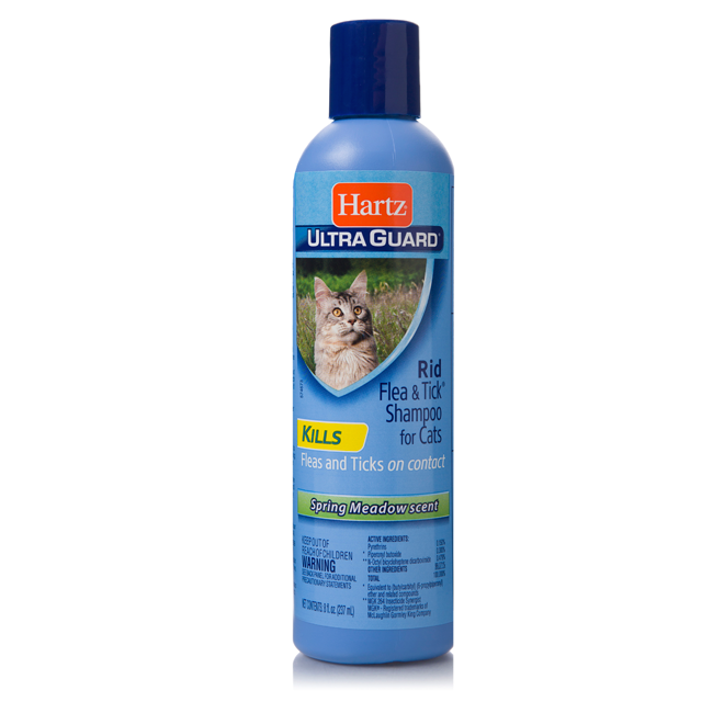 best flea shampoo for cats