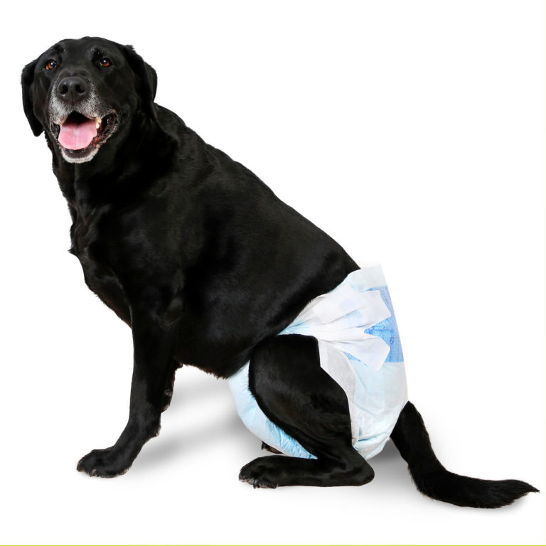 Hartz® Disposable Dog Diapers With Flashdry® Gel Technology - 5ct 