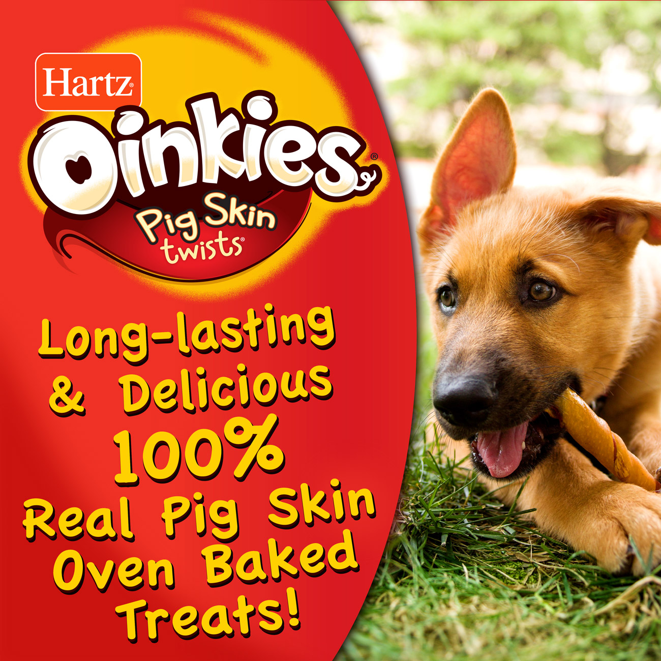 https://www.hartz.com/wp-content/uploads/2022/01/hartz_oinkies_bacon_dog_treats_real_pig_skin_1300x1300.jpg