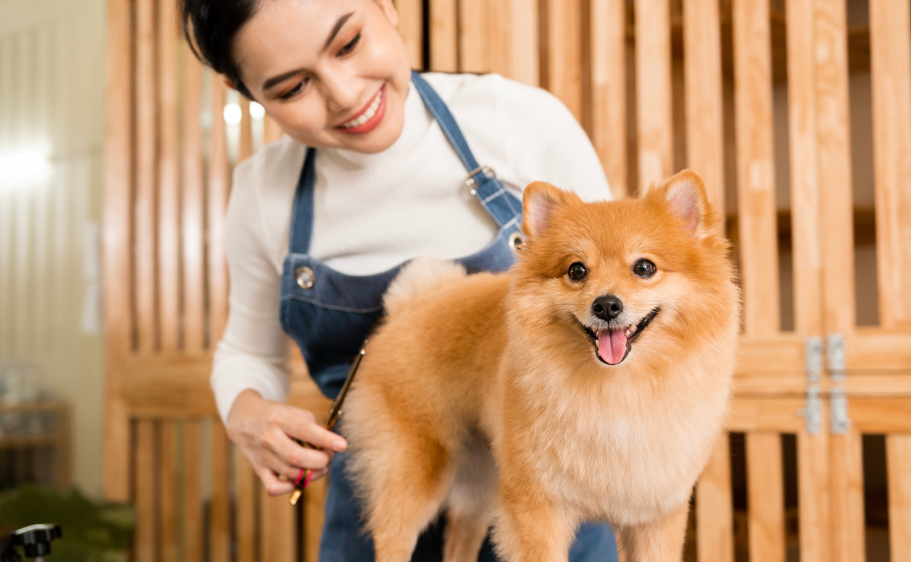 The change of seasons is a good time to think about pet grooming.