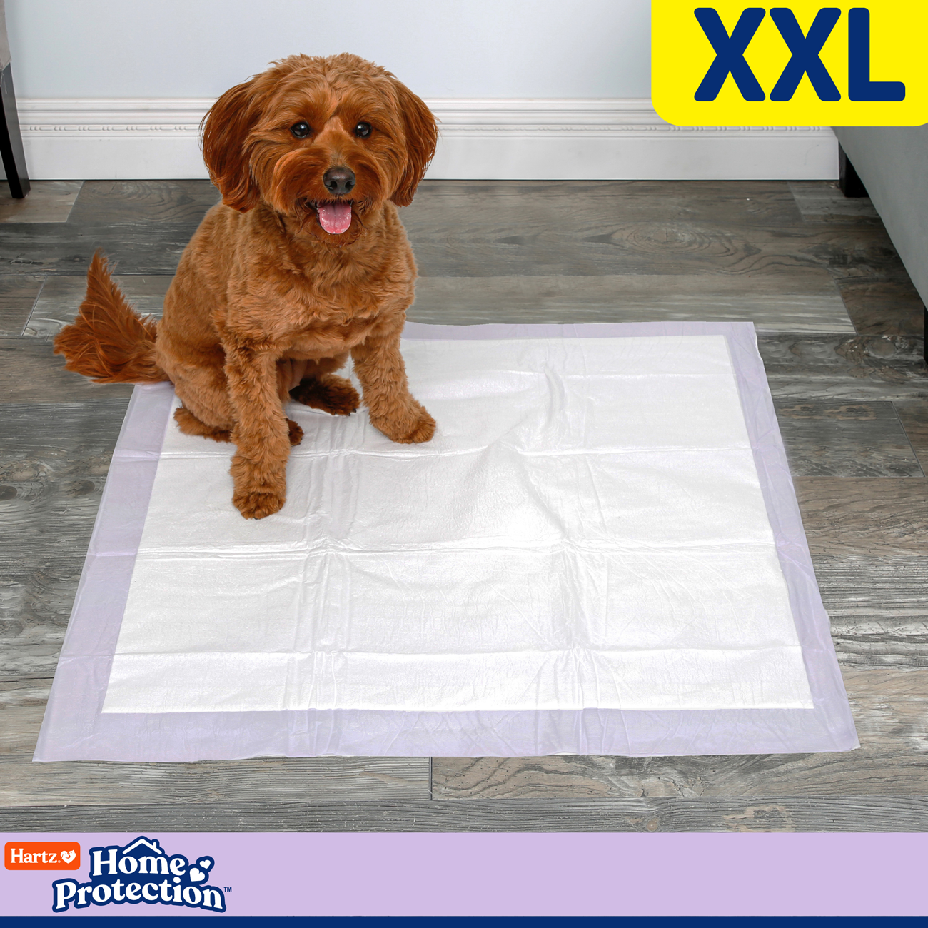 Hartz® Home Protection™ XXL Odor Eliminating Dog Pads 80 Count