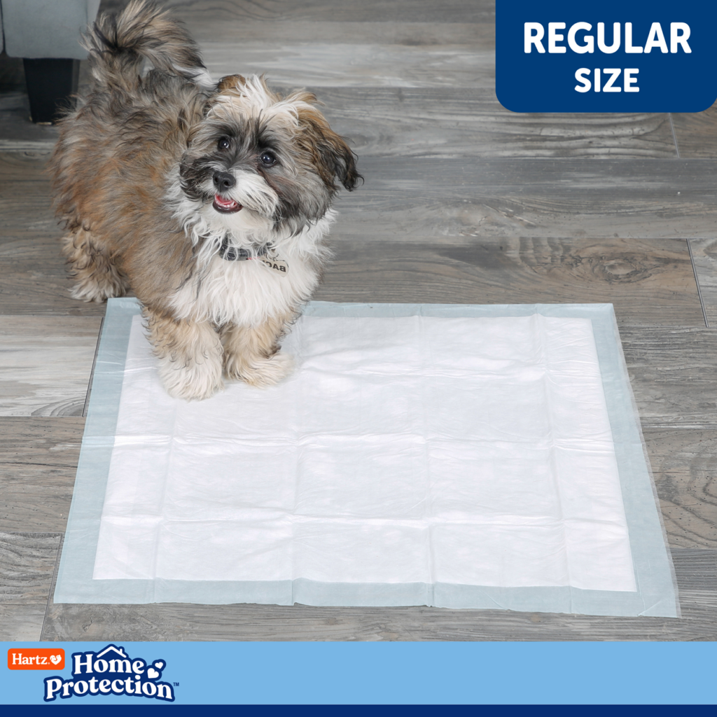 Hartz® Home Protection™ Dog Pads 50 Count - Unscented | Hartz