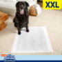 XXL odor preventing, extra absorbent dog pads.