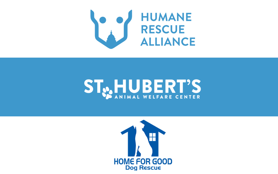 Hartz partners with St Hubert's Animal Welfare Center, Home for Good dog rescue and the Humane Rescue Alliance as a source for foster pet outreach.